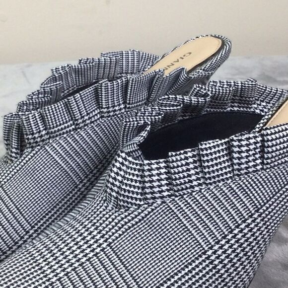 Gianni BINI  - Picture 8 of 8